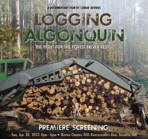 logging algonquin
