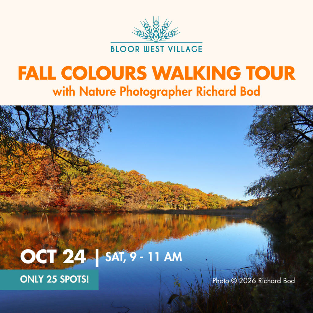 Bloor West Village Fall walking tour